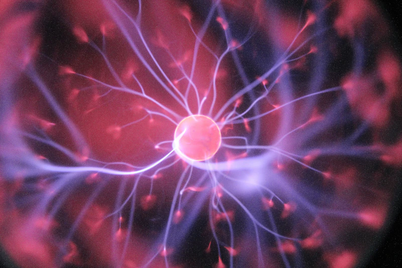 Overcoming the Fear of the Black Box: Navigating AI Anxiety